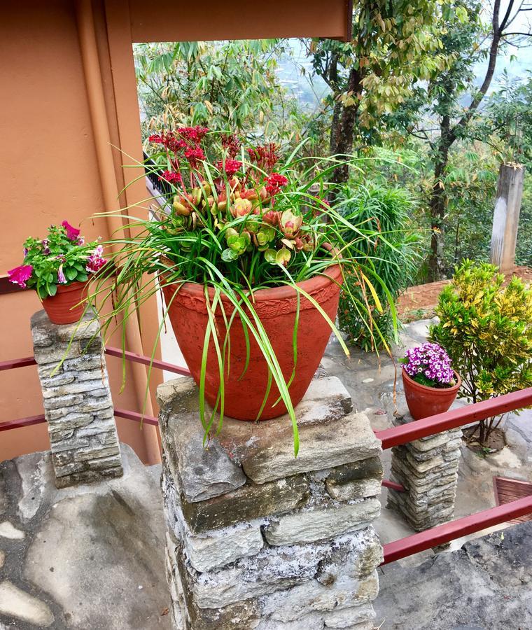 Hidden Paradise Guest House Pokhara Exterior photo